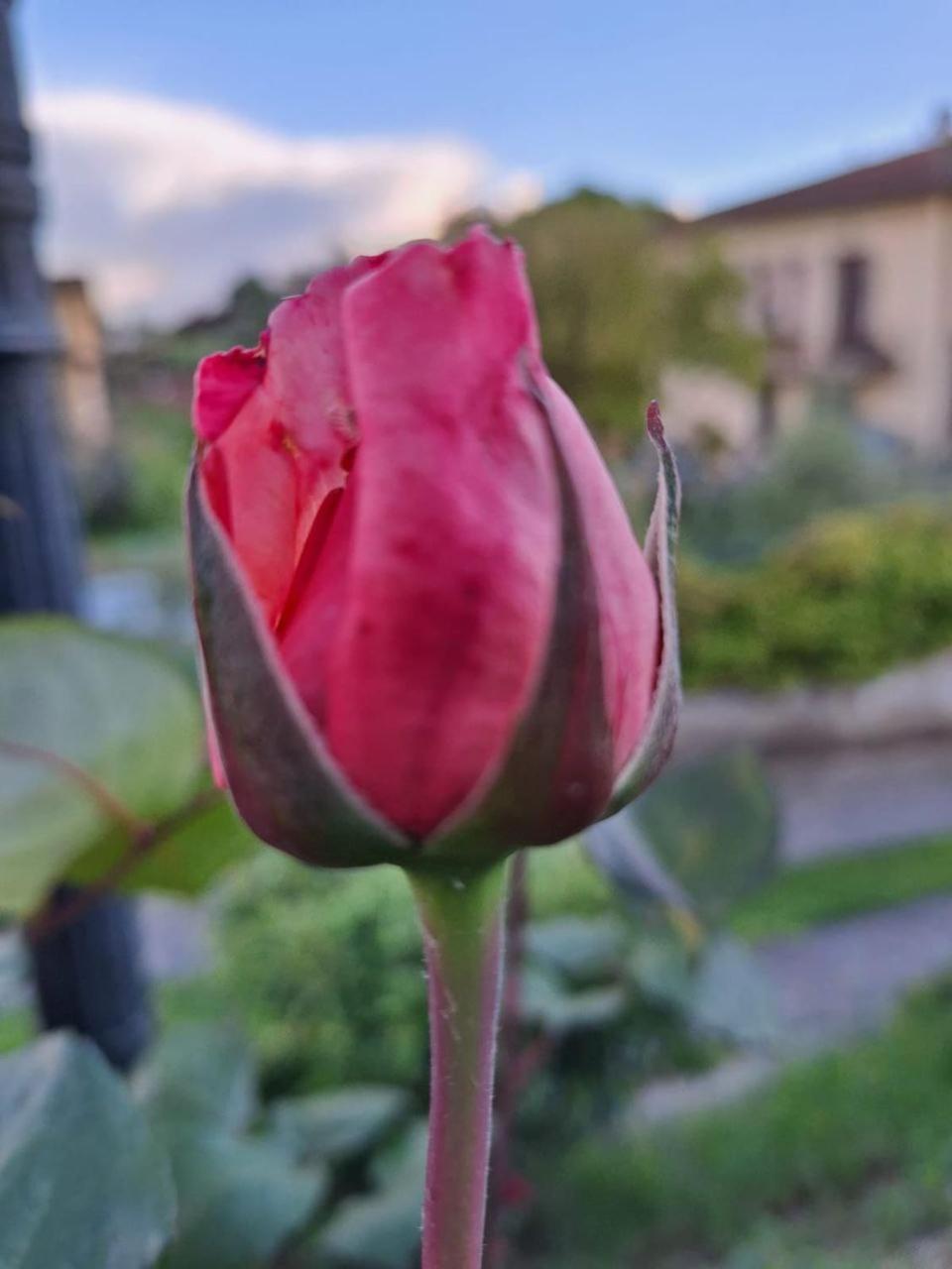 B&B Le Rose Di Paola Santa Maria a Monte Bagian luar foto
